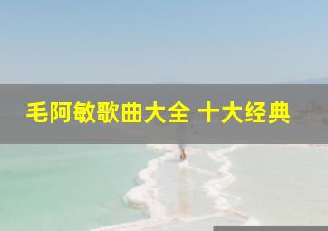 毛阿敏歌曲大全 十大经典